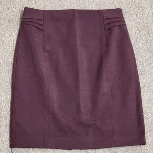 Express Skirt